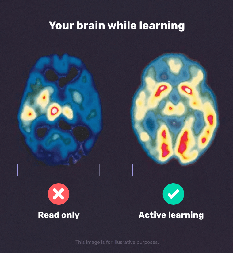 Your brain while learning